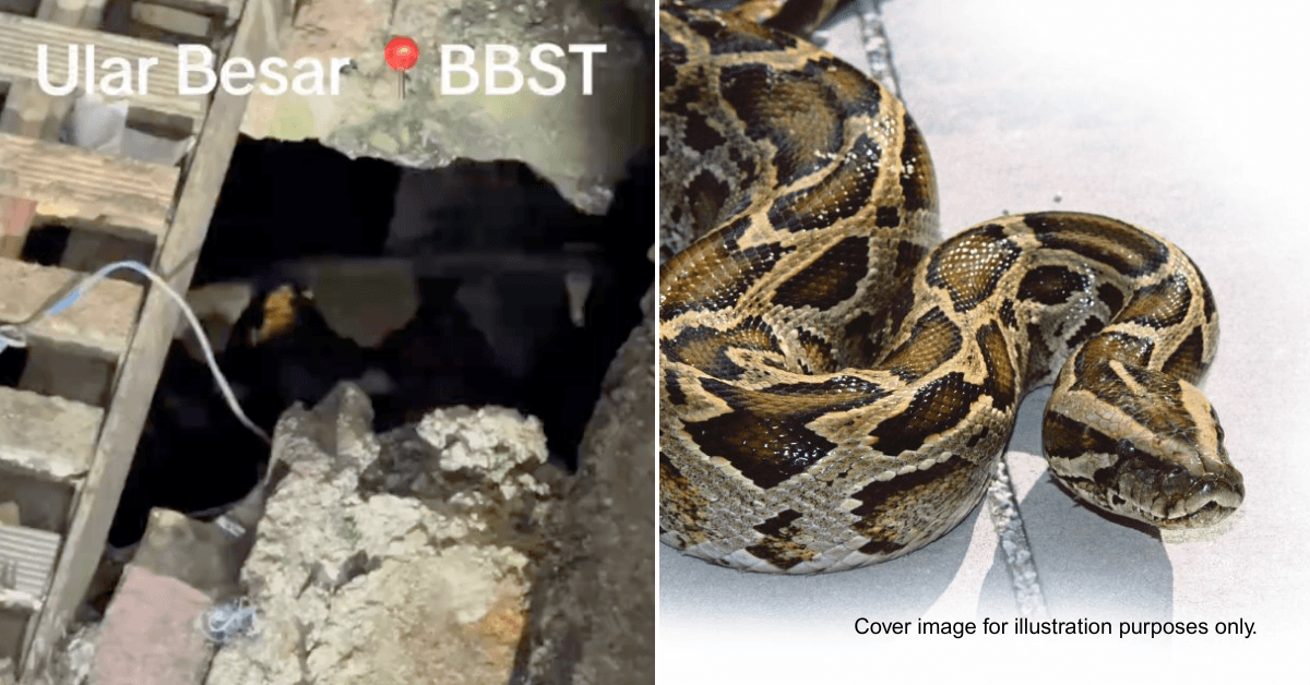 A description of the image