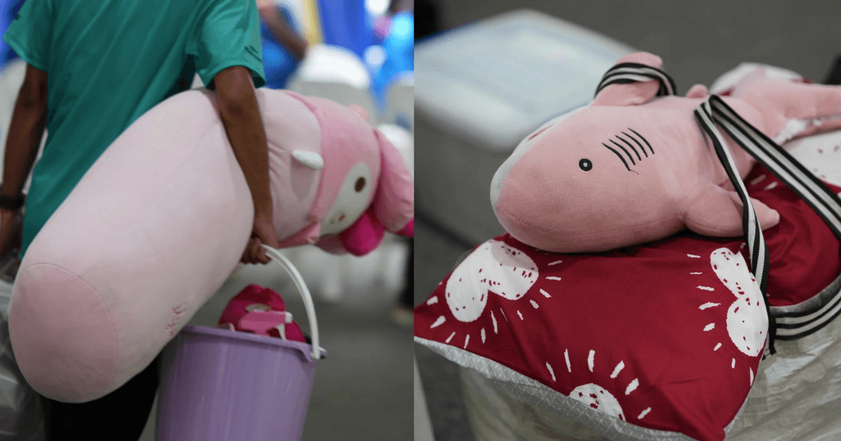 A description of the image