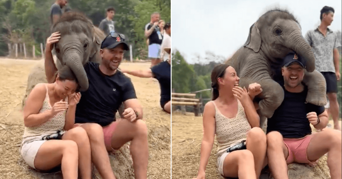 A description of the image