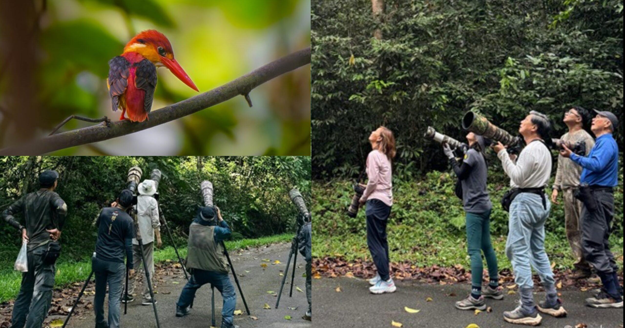 A description of the image