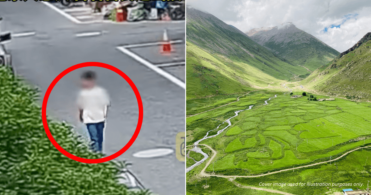 A description of the image