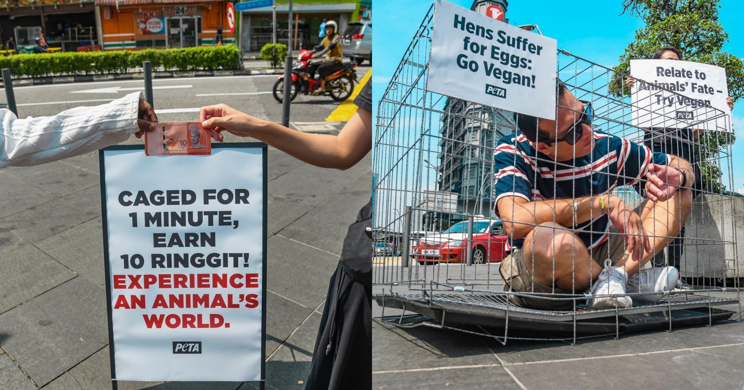 A description of the image