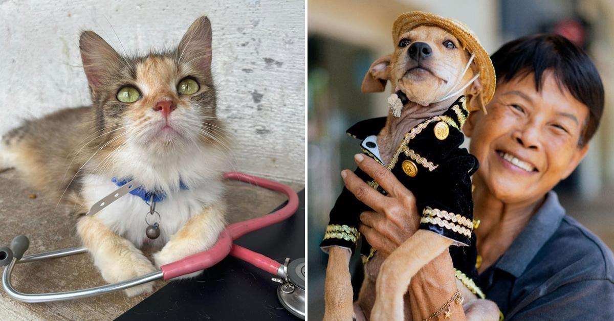 A description of the image