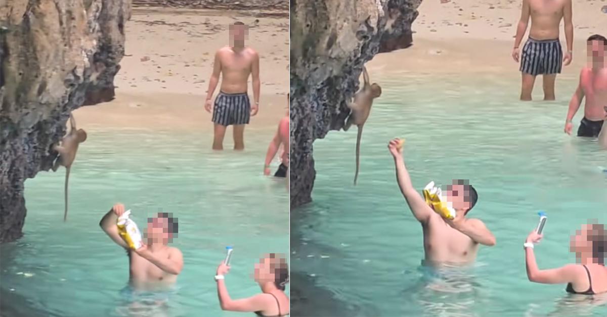 A description of the image