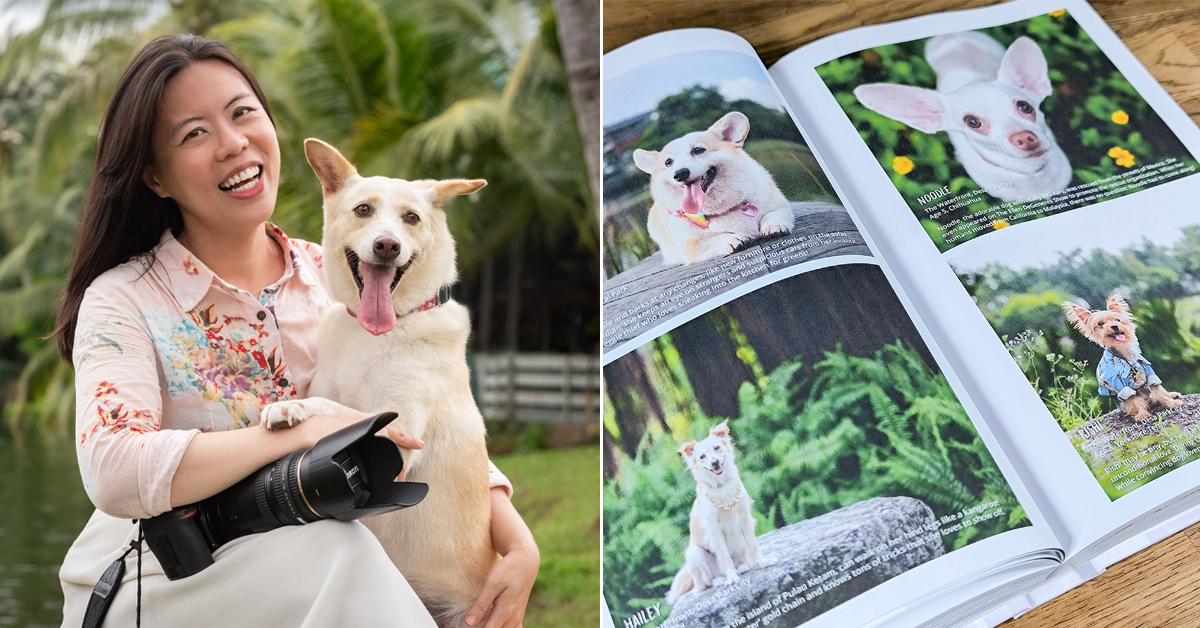 A description of the image