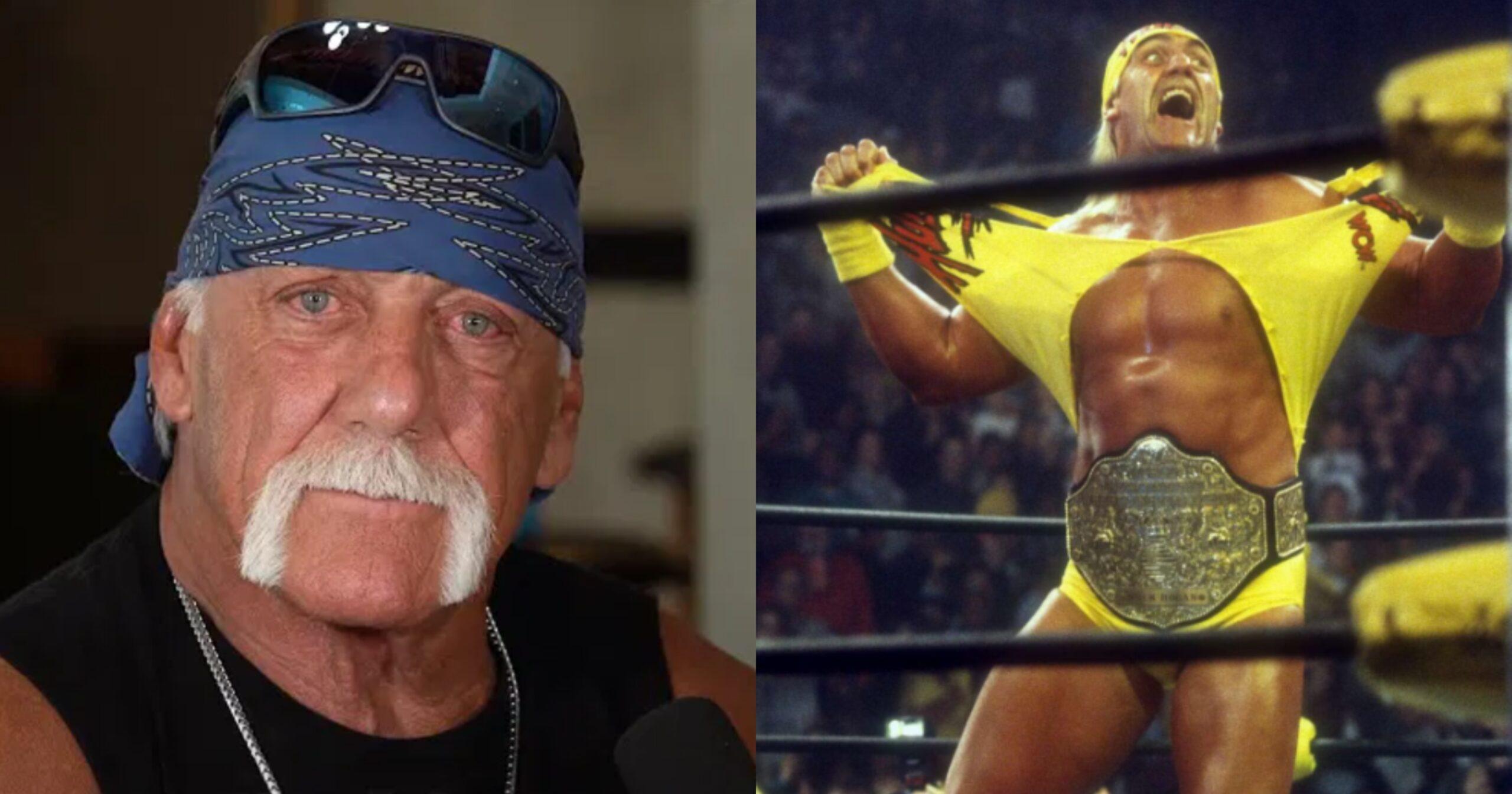 A description of the image