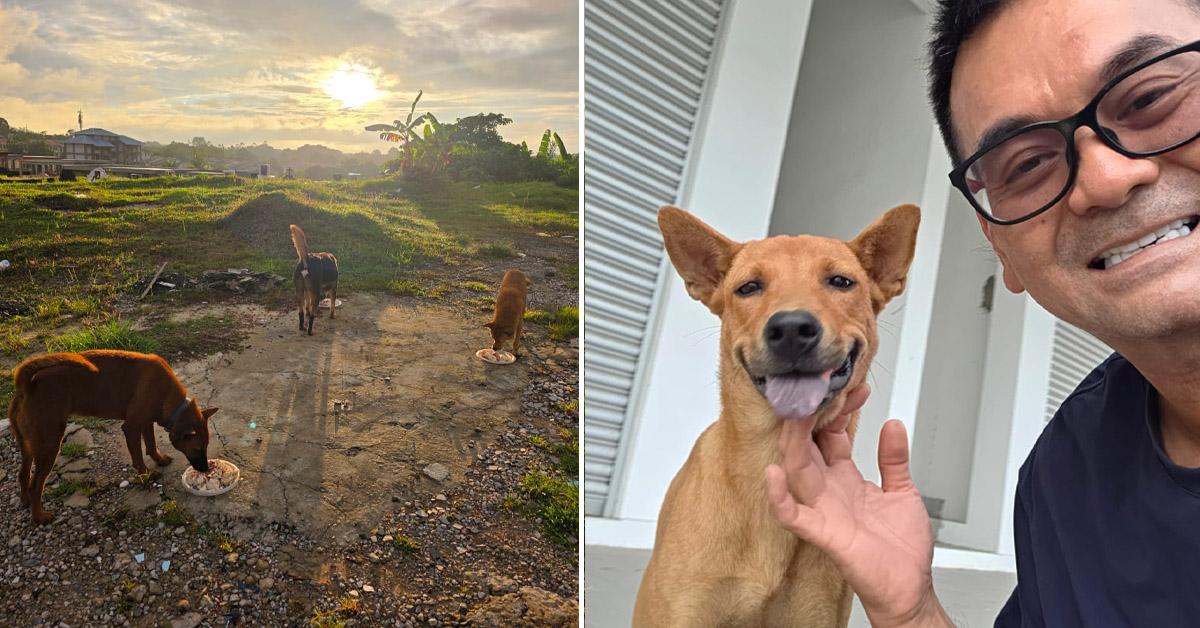 A description of the image