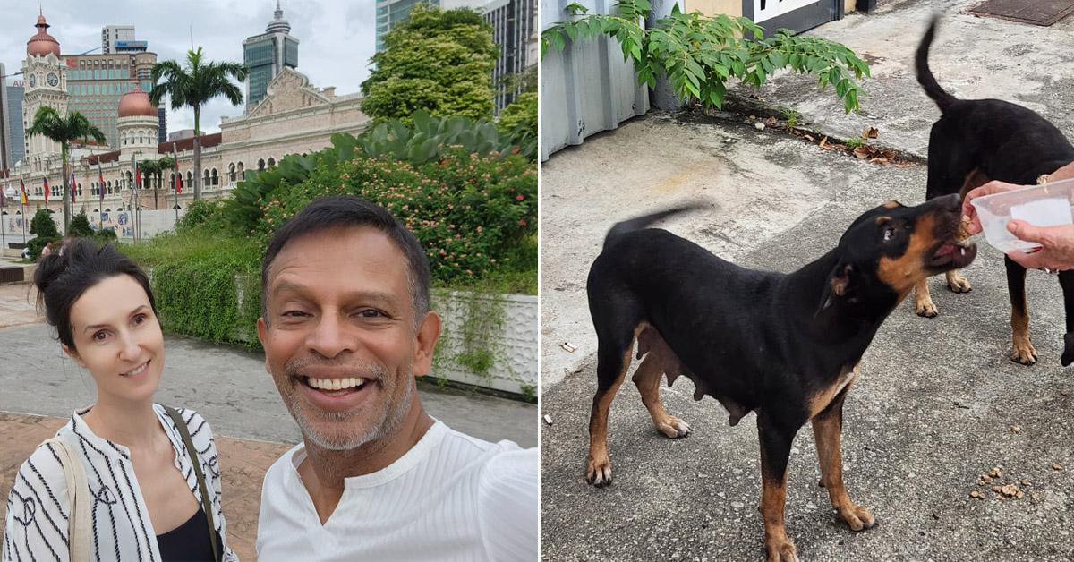 A description of the image