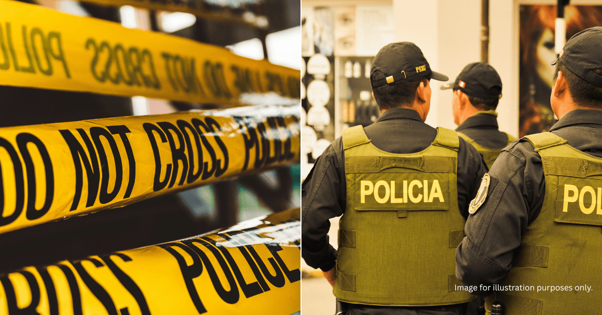 A description of the image