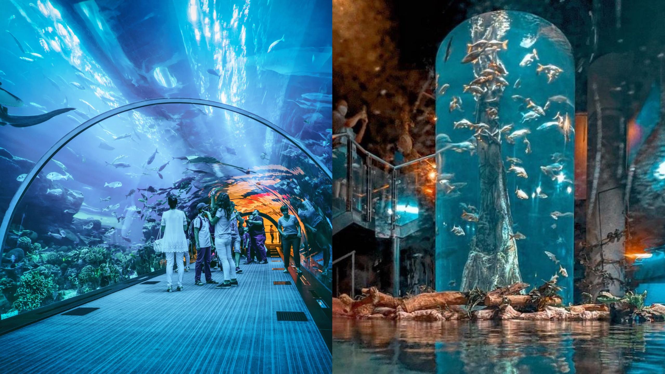 A description of the image