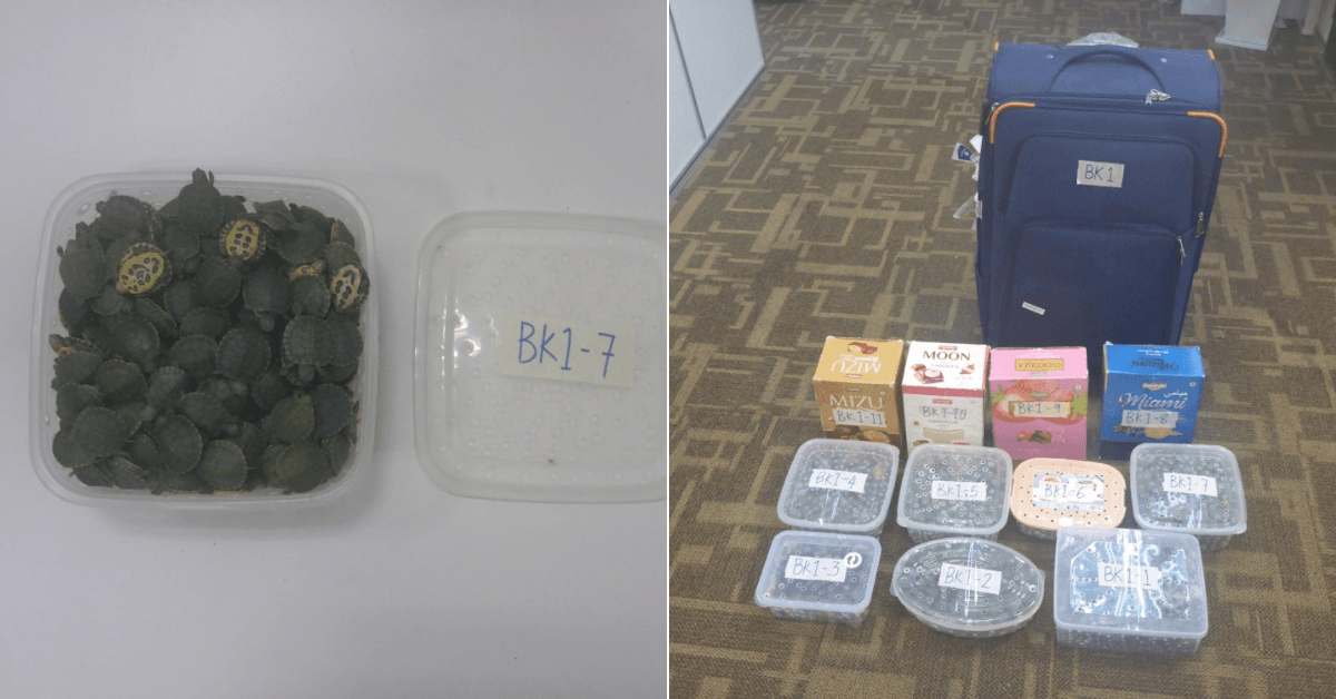 A description of the image