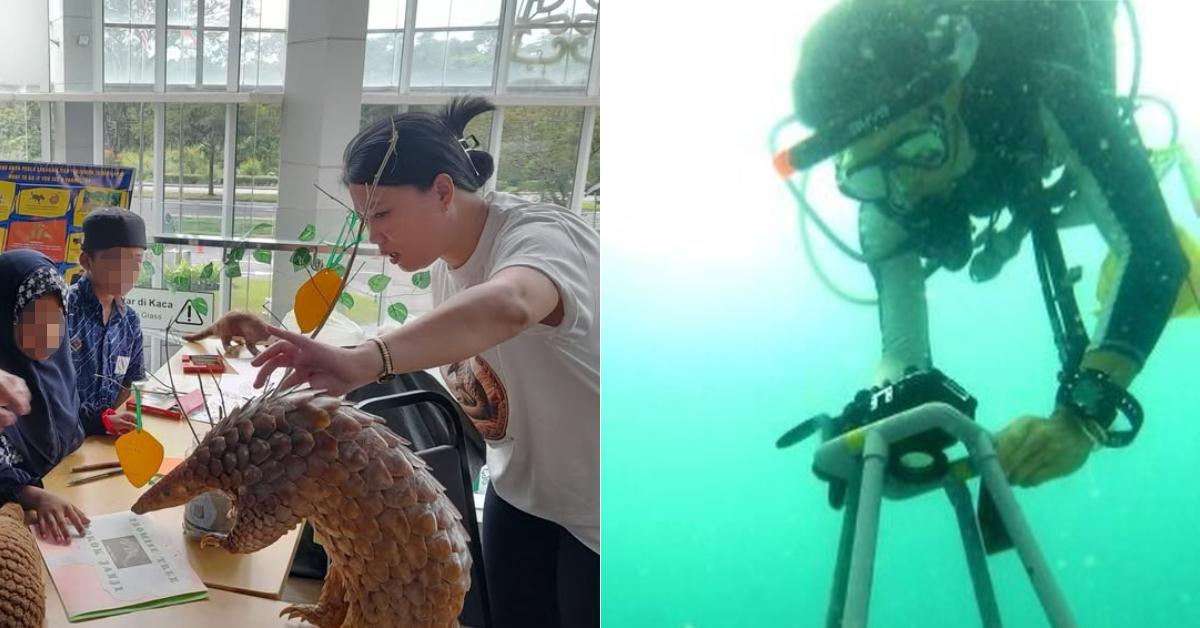 A description of the image