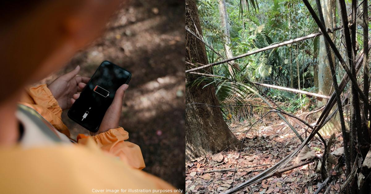 A description of the image