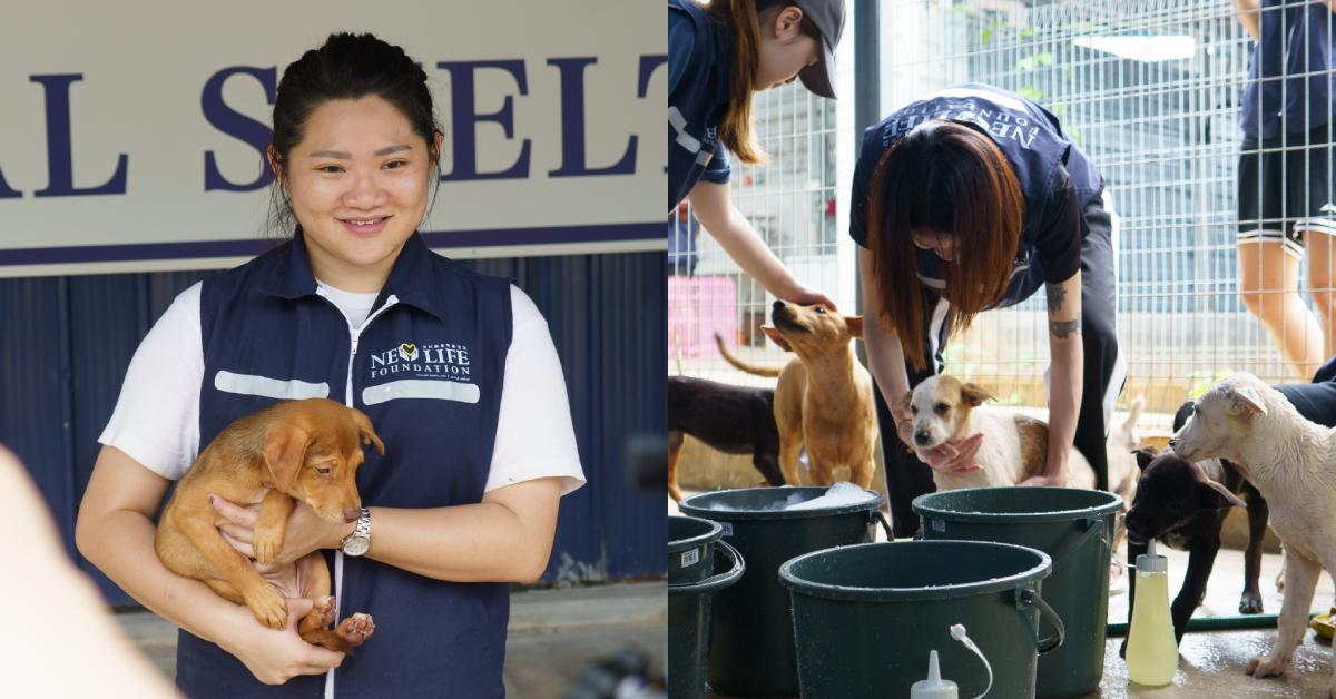 A description of the image