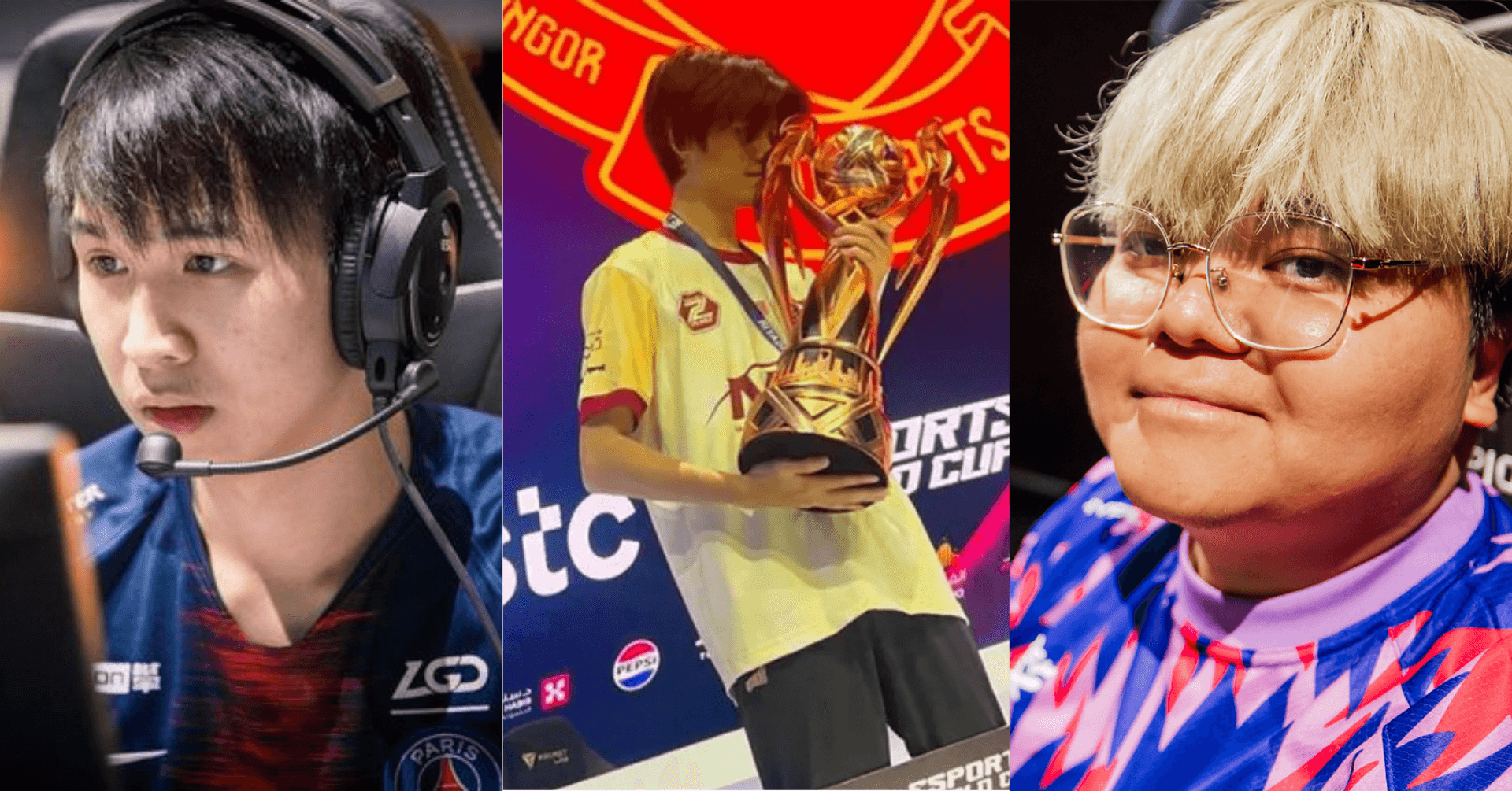 A description of the image