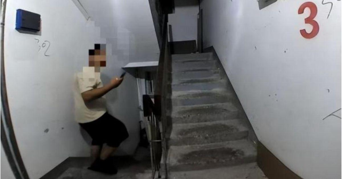 A description of the image