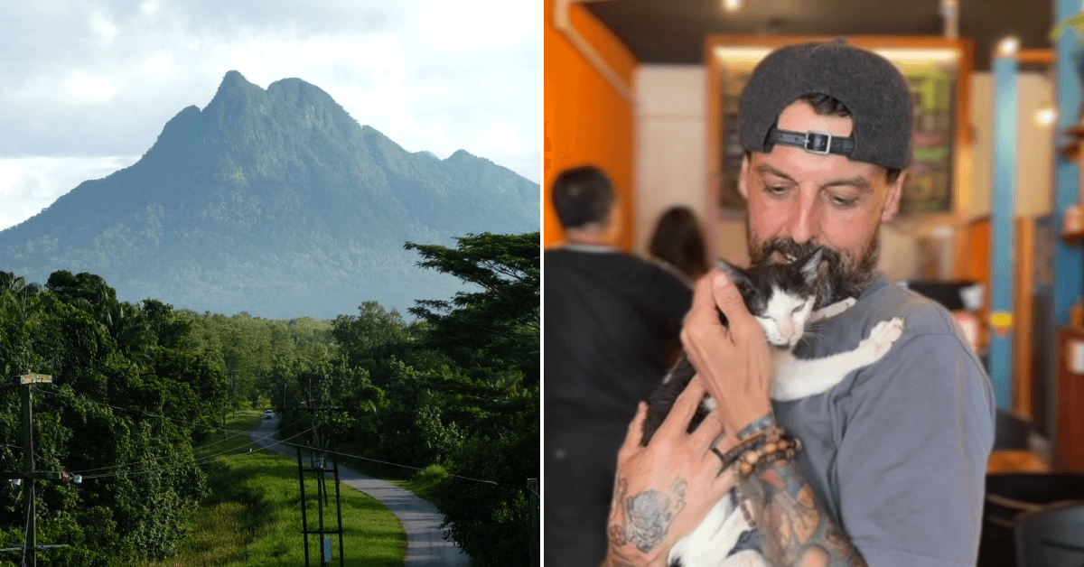 A description of the image