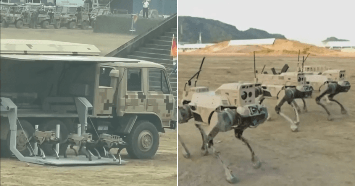 A description of the image