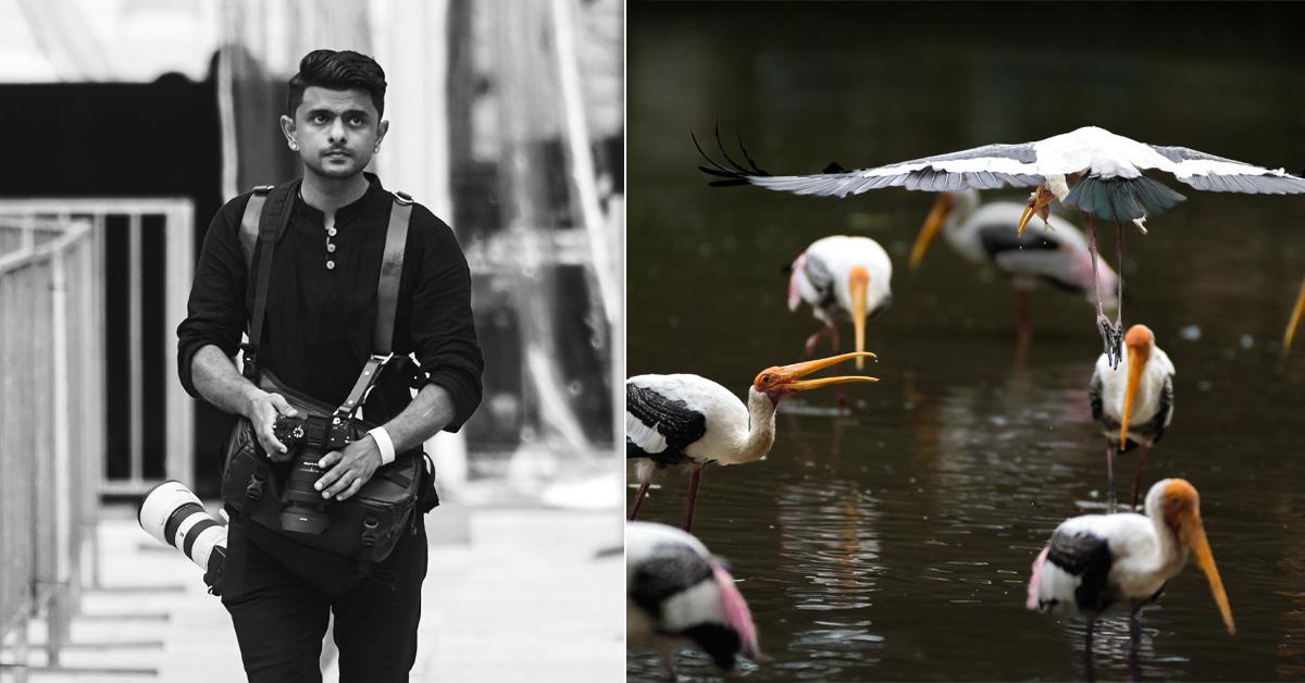 A description of the image