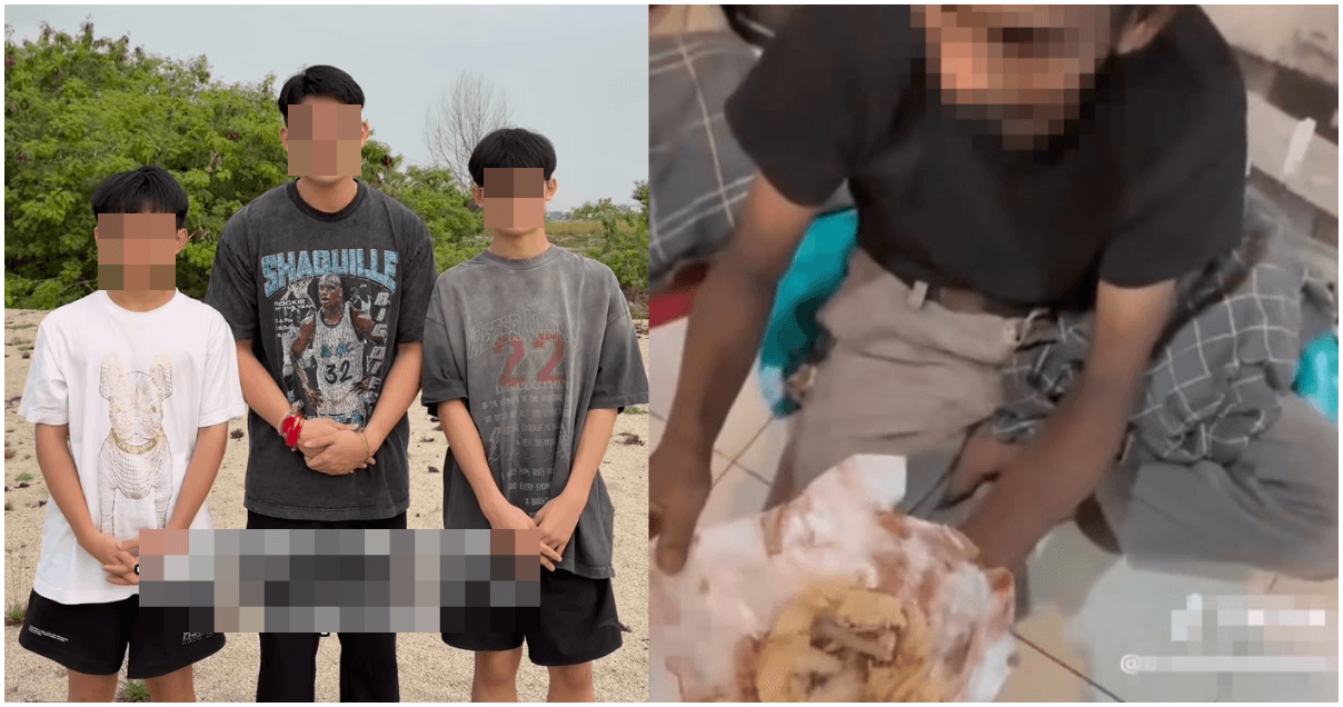 A description of the image