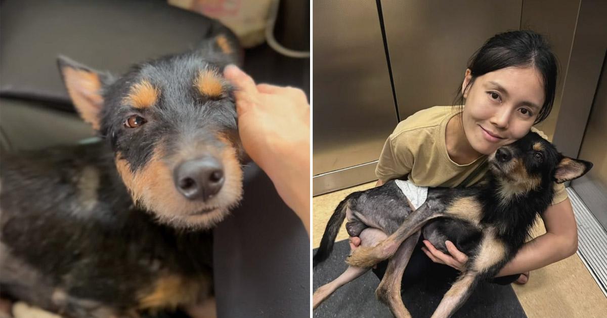 A description of the image