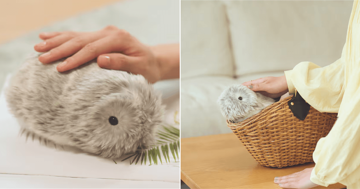 A description of the image