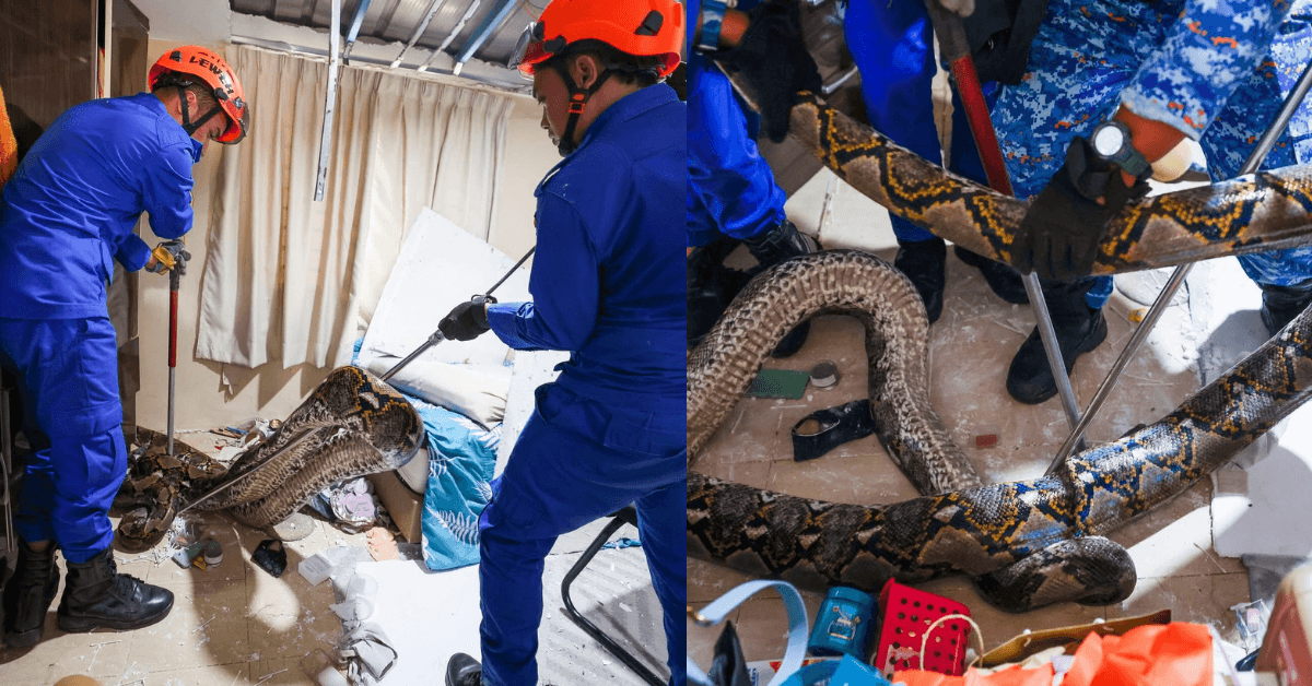 A description of the image