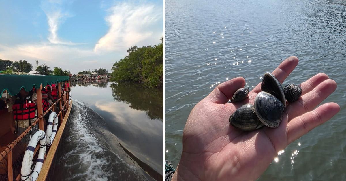 A description of the image