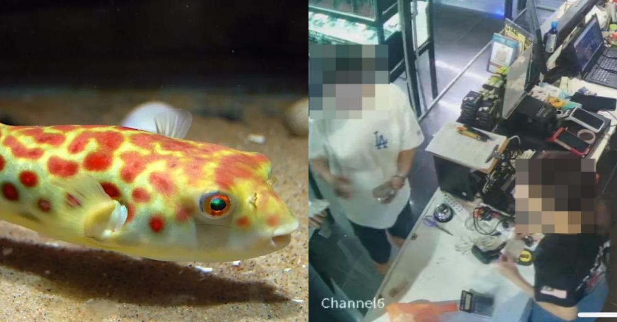 A description of the image