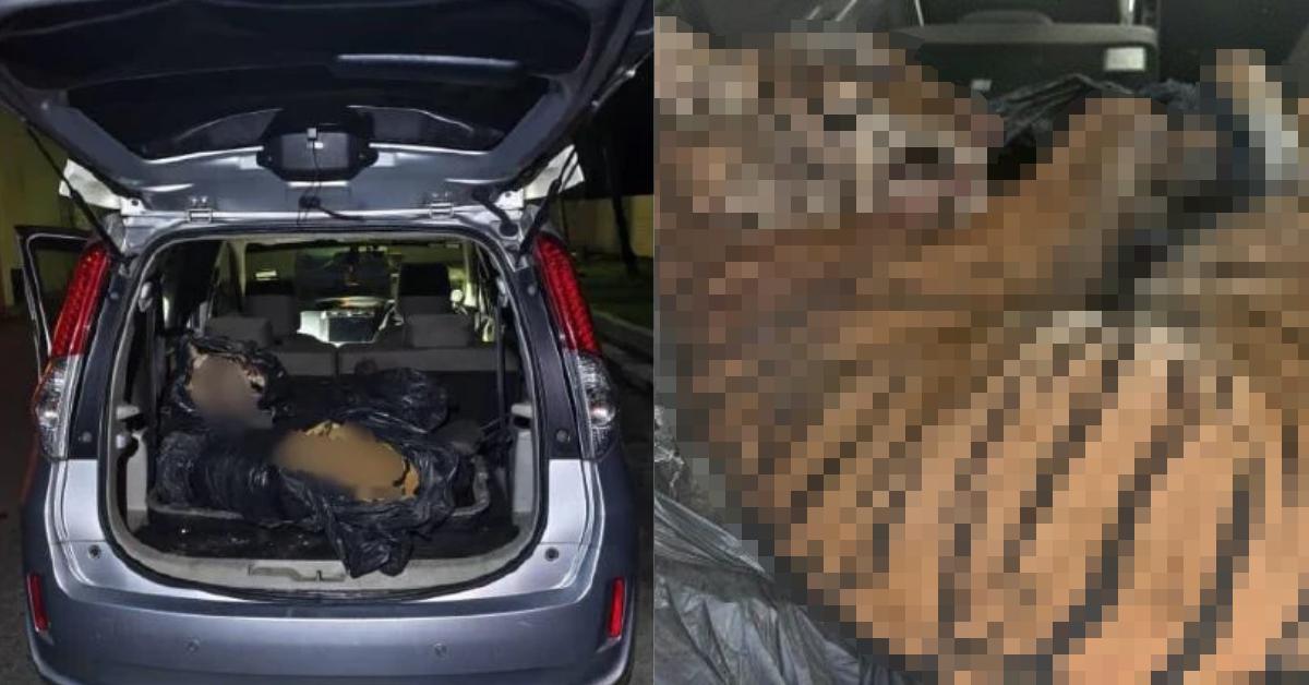 A description of the image