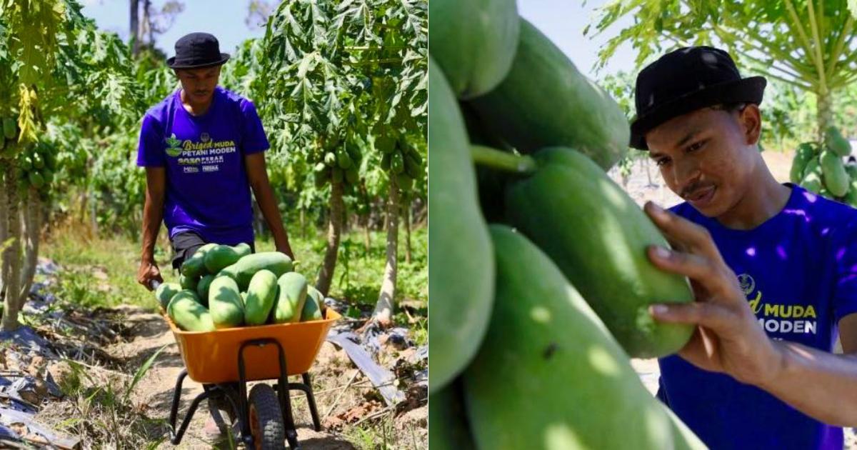 A description of the image