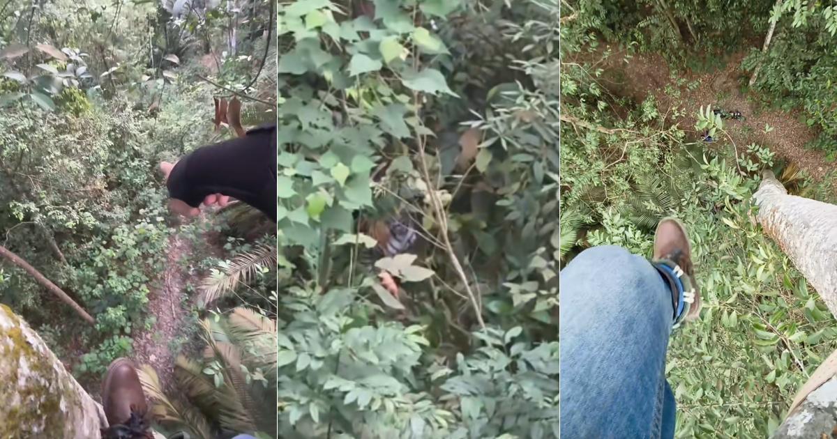 A description of the image