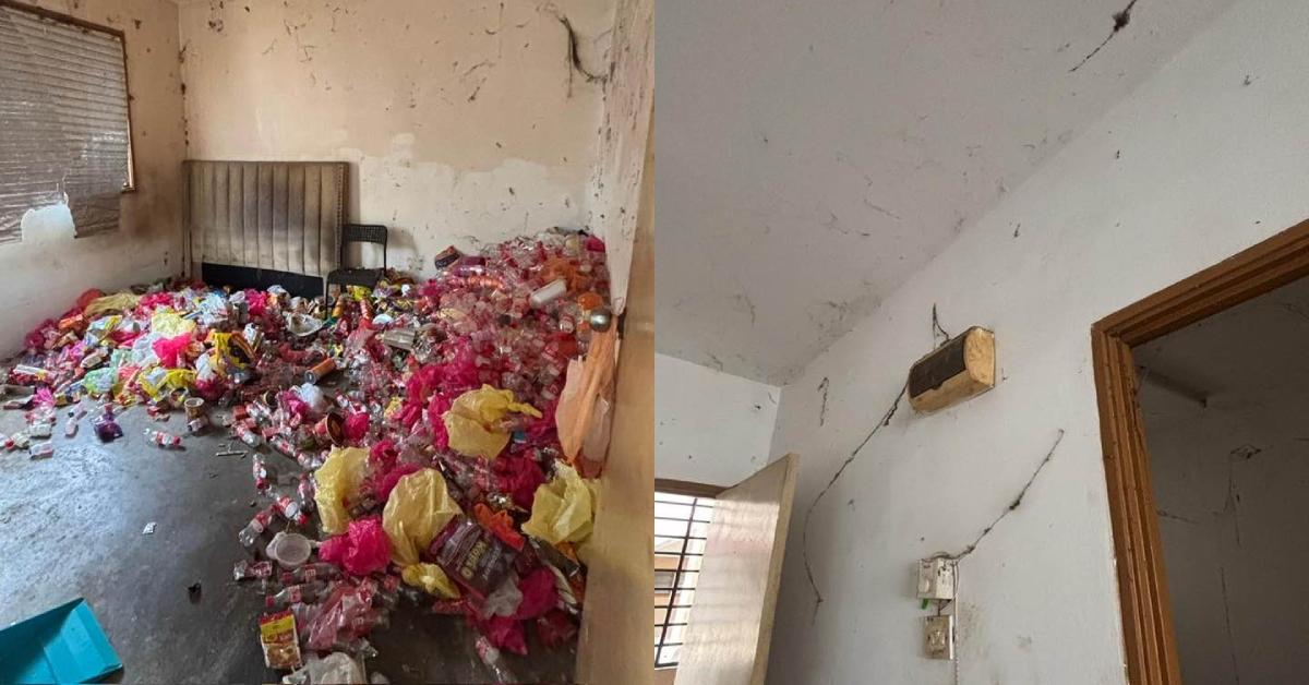 A description of the image