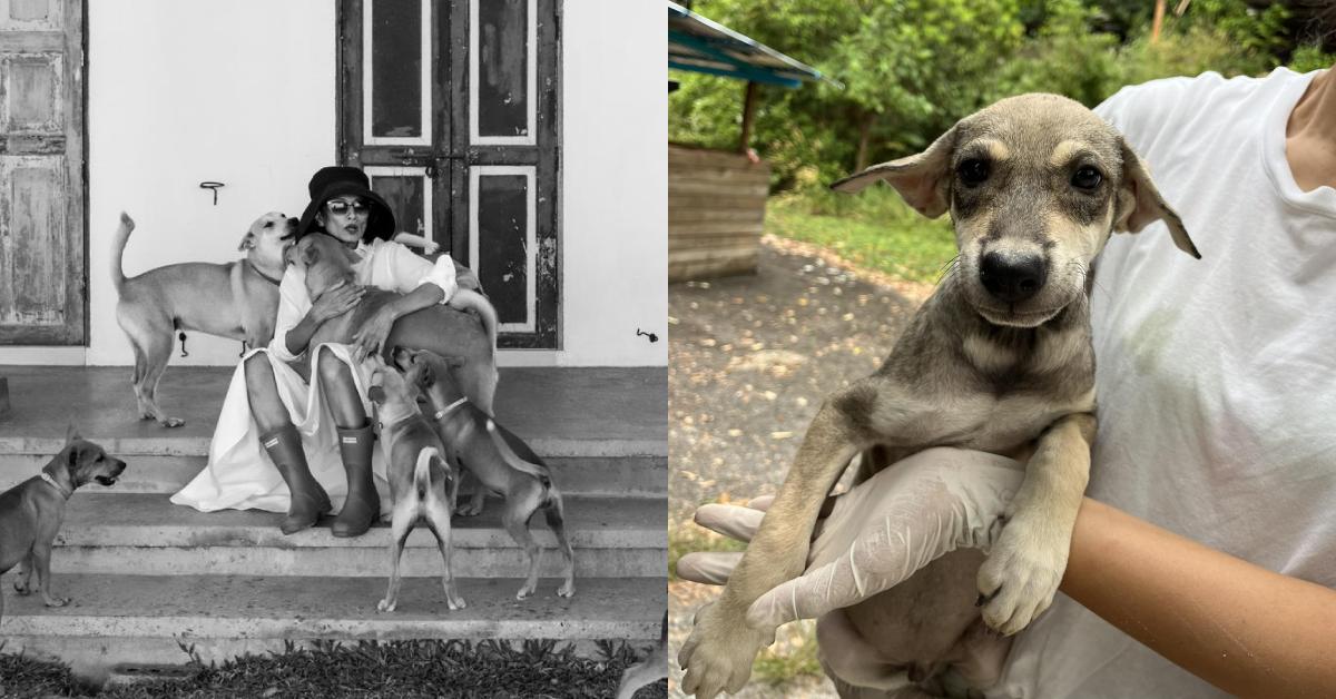 A description of the image