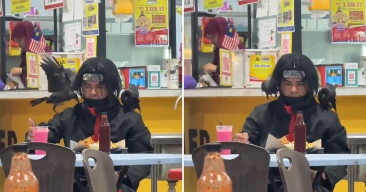 A description of the image