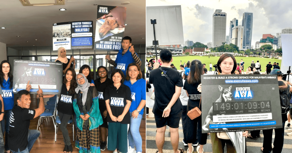 A description of the image