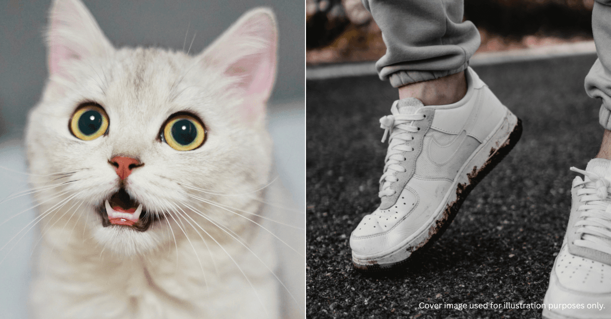 A description of the image