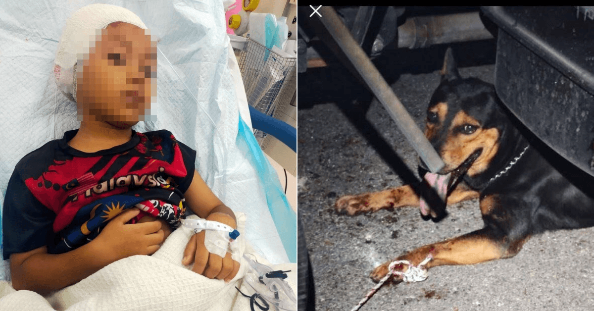 A description of the image