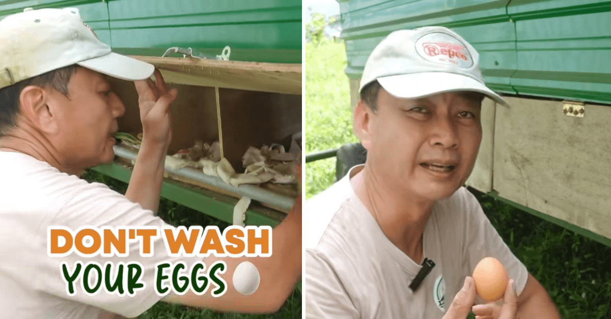 A description of the image