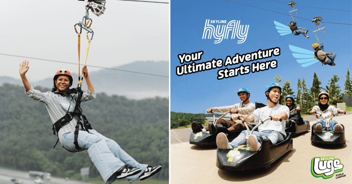 A description of the image