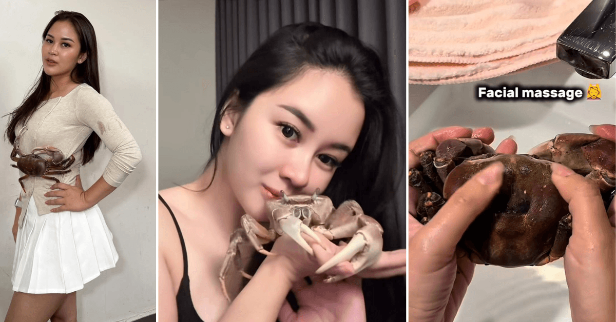 A description of the image