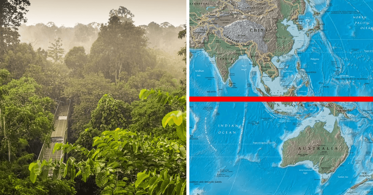 A description of the image