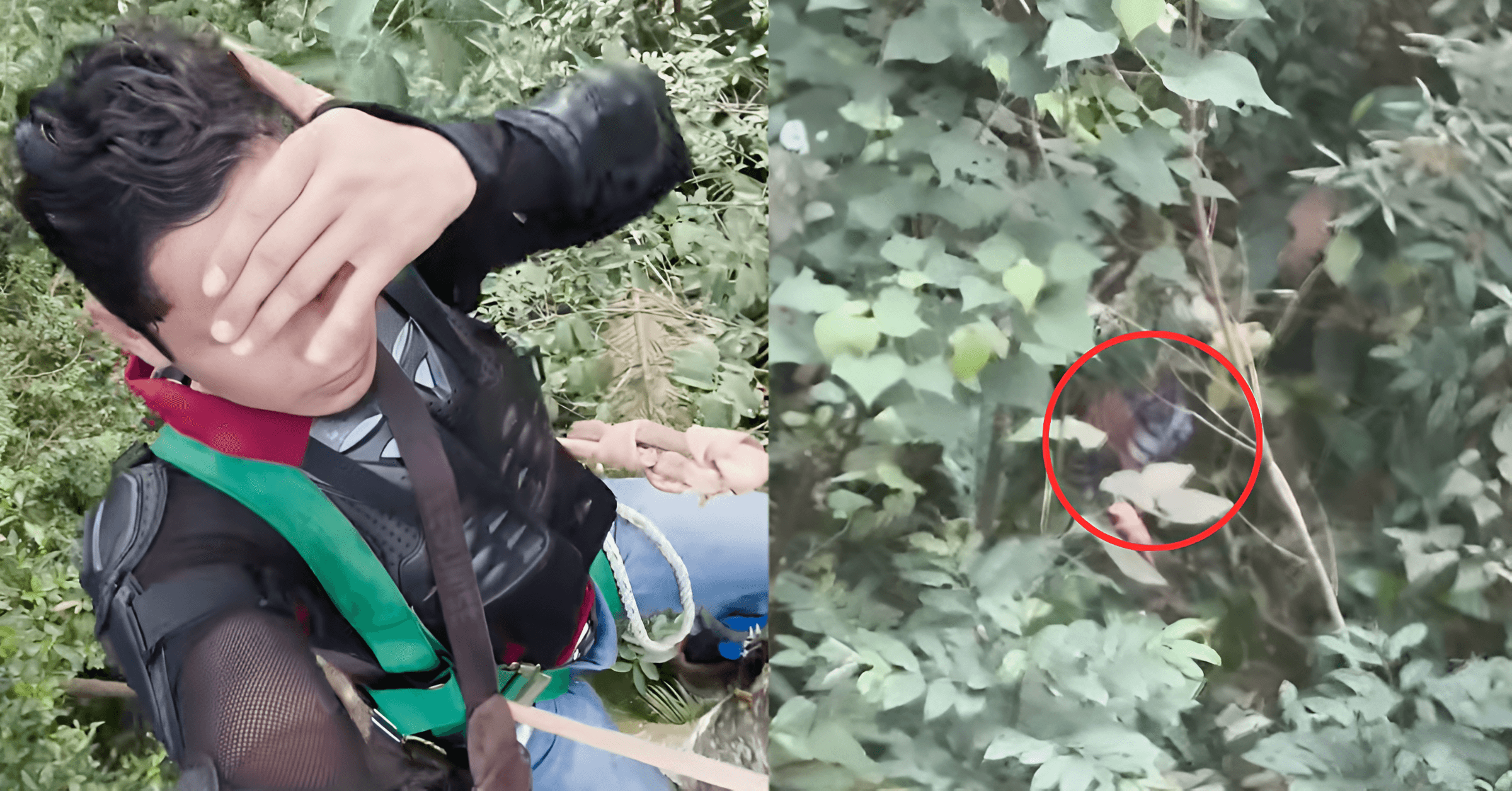 A description of the image