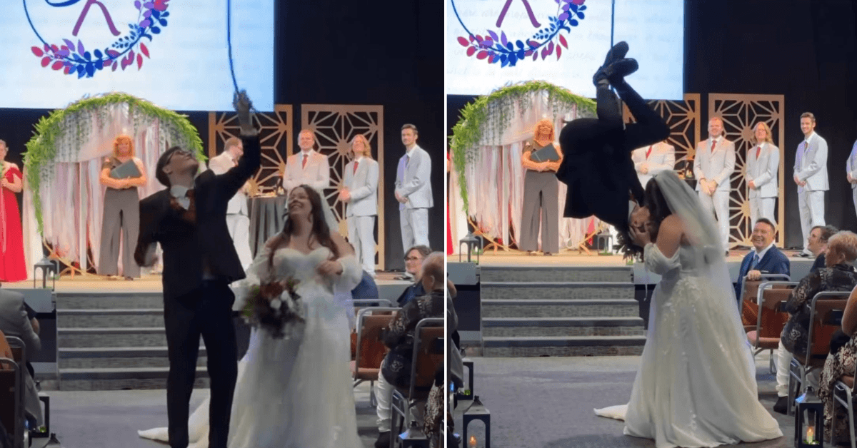 A description of the image