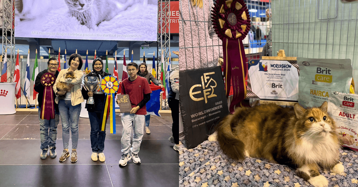 A description of the image