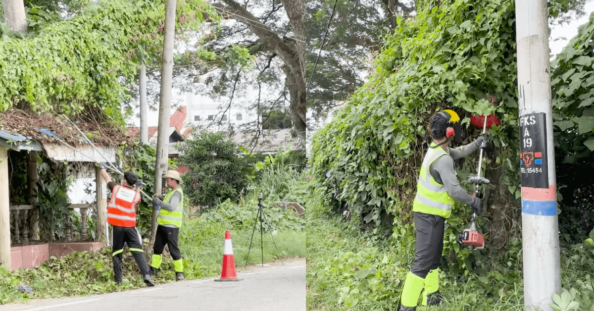 A description of the image