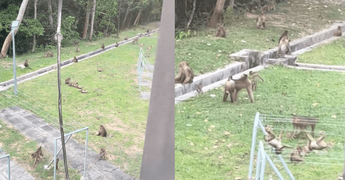 A description of the image