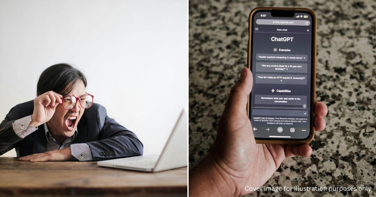 A description of the image