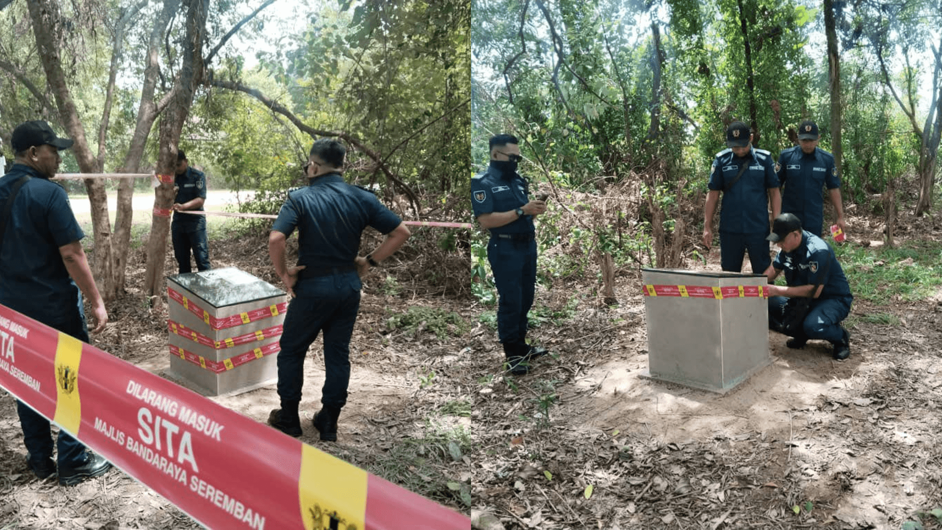 A description of the image