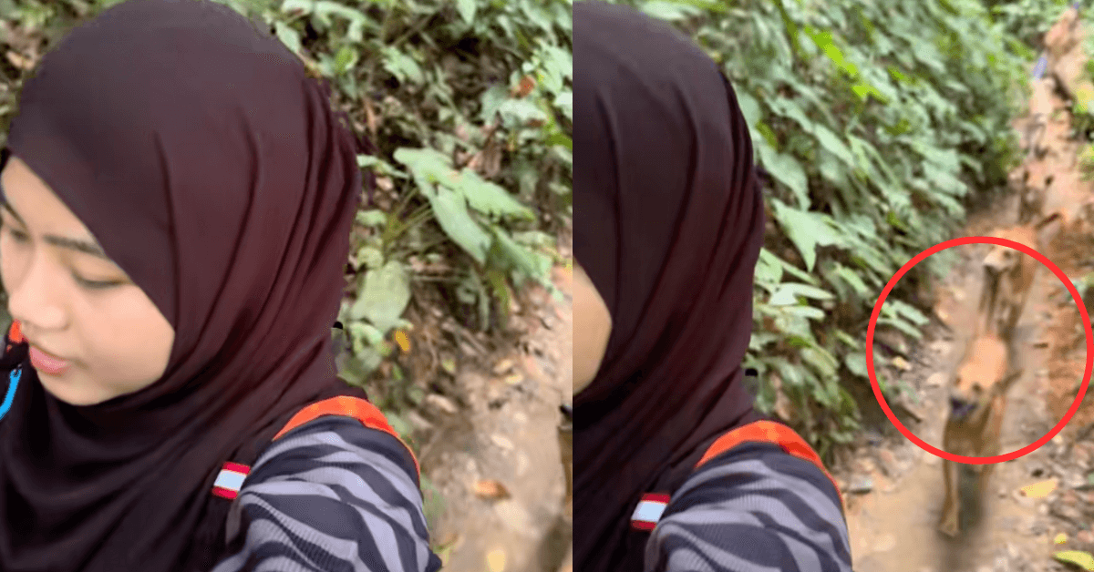 A description of the image